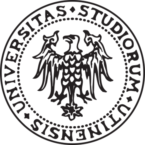 Logo of University of Udine